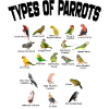 Papegøjer Familieliste Vintage Funny Birds Ejer