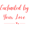 Enchanted by Your Love