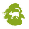 Fairy Tale Cryptozoology Fable