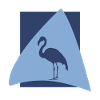Flamingos Flamingo Flamenco Wasservogel