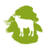 Beef Beef Agriculture