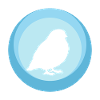 Bird Bird Bird Illustration