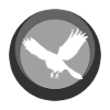 Animaux Animaux Oiseaux