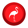 Flamenco Flamingos Exotic