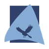 Aile Oiseaux Oiseau