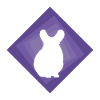 Chinchilla Hamster Mouse