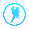 Oiseau Calopsitte Volant