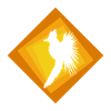 calopsitte oiseau volant