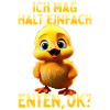 Ente Süße Entenküken Ich Mag Halt Einfach Enten