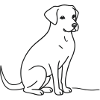 Sweet Pup Sketch