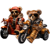 Motorcycle tours are fun