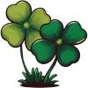 Two Shamrocks