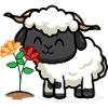 Stop & smell the flowers <3
