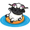 Summer sheep
