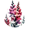 Snapdragon drawn
