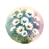 Daisies drawn