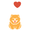 Chien chow chow