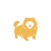 Chien chow chow