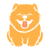 Chien chow chow