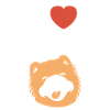 Chien chow chow