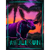 Bull Run