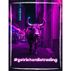 Crypto Bull