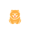 Chien chow chow