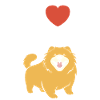 Chien chow chow