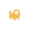 Chien chow chow