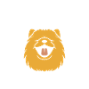 Chien chow chow