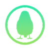 Bird Bird Illustration Wings