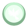 Calopsitte Oiseau Drôle