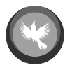 Calopsitte Oiseau Oiseau