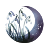 Snowdrops drawn