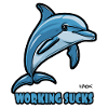 Work annoys dolphin