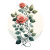 Rose Vine Drawn