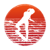 Retro Skaterin Skater Skateboarder Skateboard