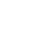 Chicago Illinois Souvenir Gift