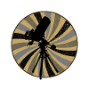 Astrophysics Celestial Bodies Astronomy