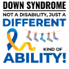 Down Syndrome Awareness Different Ability