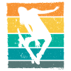 Retro Skaterin Skater Skateboarder Skateboard