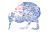 Kiwi Vogel Neuseeland Flagge