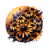 Black-eyed Susannen drawn