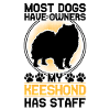 Wolfsspitz has staff German Wolfsspitz