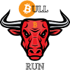 BITCOIN BULL RUN