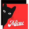Miau, Katze
