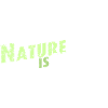 Nature is calling lettering