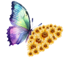 Butterfly, Sunflower, Spring, Summer