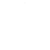 IRON MONKEYS THE WOLF