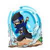 Ninja Motif